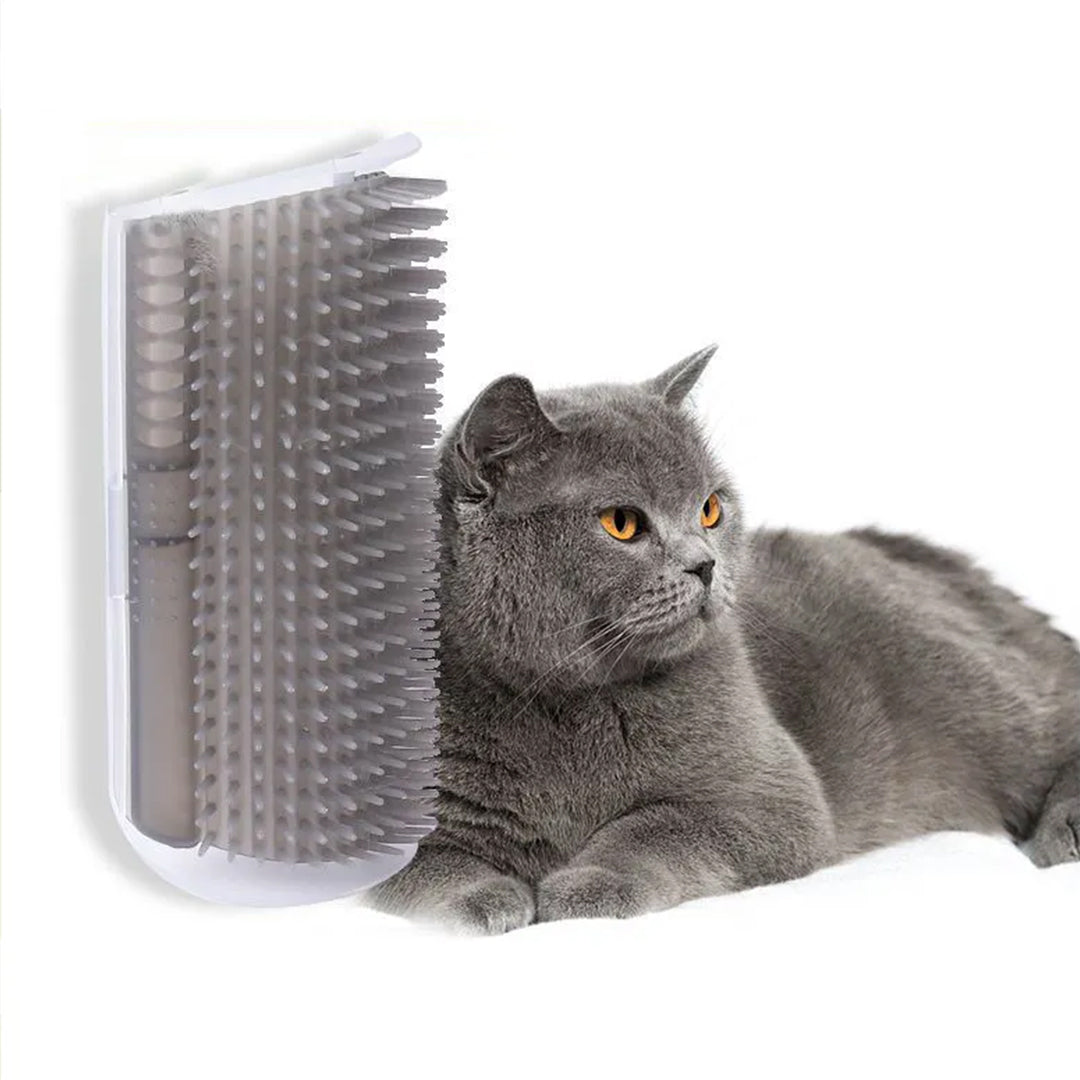 PetJiggle – brosse d'auto-toilettage pour chats, Massage d'angle mural, peigne à gratter