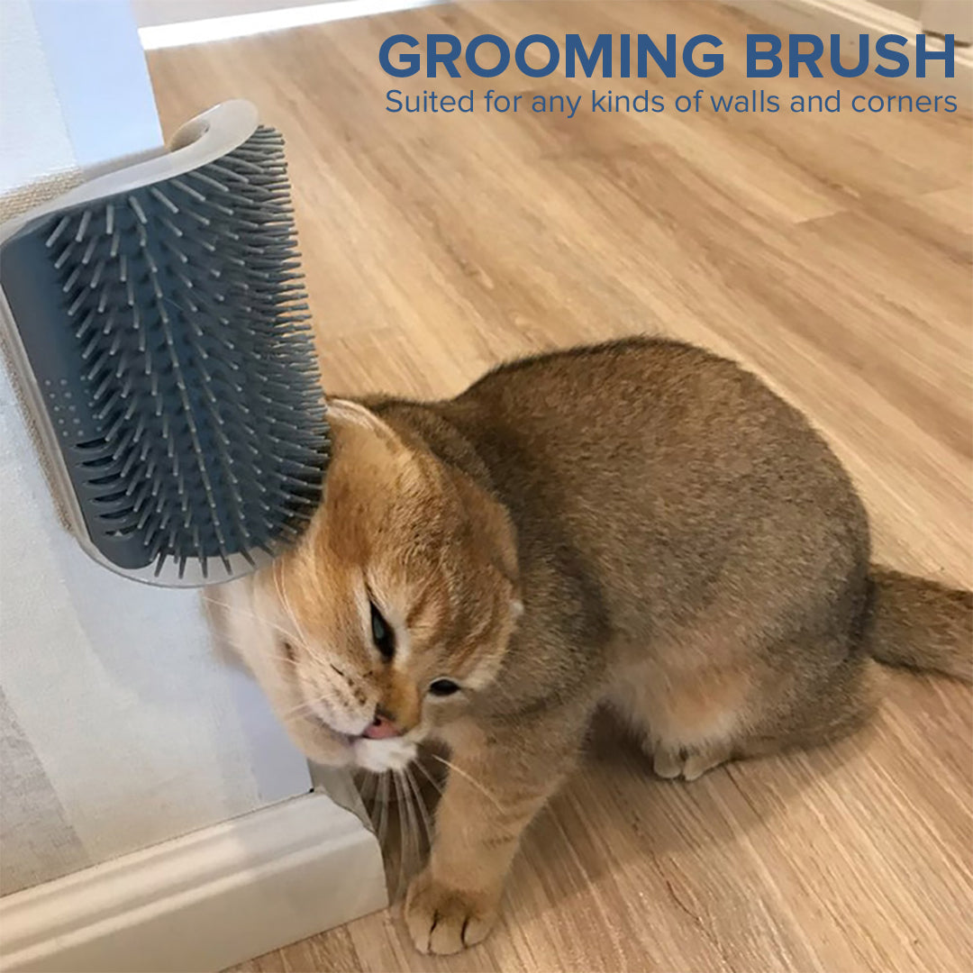 PetJiggle – brosse d'auto-toilettage pour chats, Massage d'angle mural, peigne à gratter