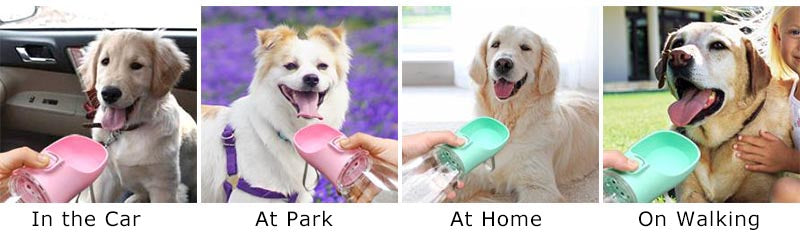 PetJiggle™ Small Dog Water Bottle